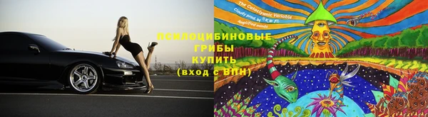 дурь Магадан