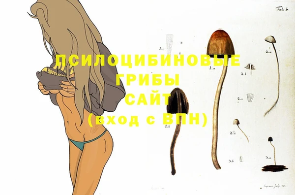 дурь Магадан