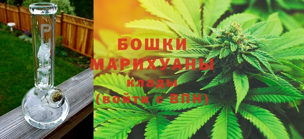 индика Волгодонск