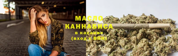 гидра Майский