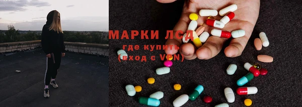 гидра Майский